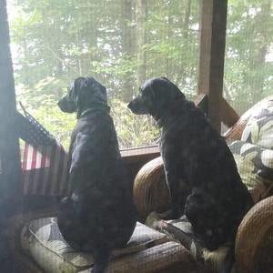 Meet your Posher, Cheryll